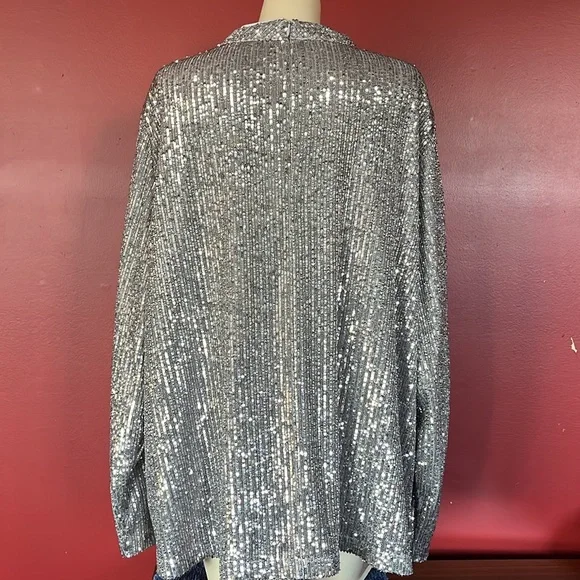 BNWOT Soft surroundings silver sparkly, long sleeve, formal lined top - Picture 6 of 16